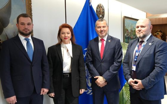 Україна та ІМО узгодили наступні кроки для безпеки в Чорному морі «фото»