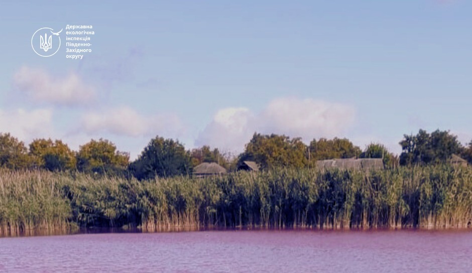 Небезпечна краса: на Одещині у ставку зафіксували серйозне забруднення  «фото»