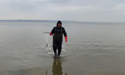 На Хаджибейському лимані провели нові дослідження стану води та риби (фото) «фото»