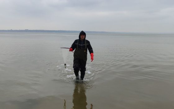 На Хаджибейському лимані провели нові дослідження стану води та риби (фото) «фото»