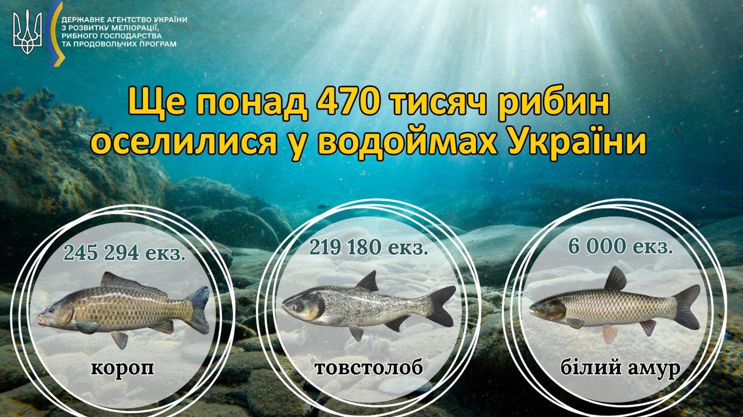 Хаджибейський лиман поповнили майже пів мільйона молодих рибин «фото»