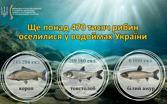 Хаджибейський лиман поповнили майже пів мільйона молодих рибин «фото»