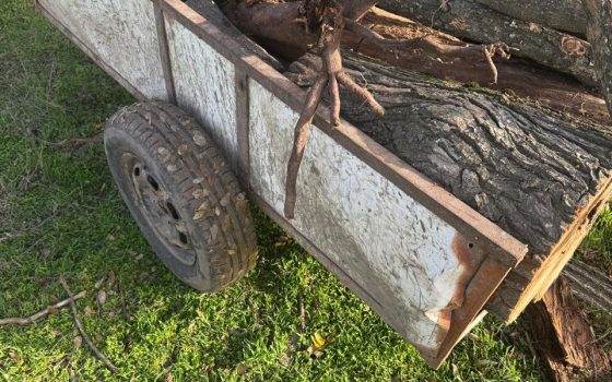 На Одещині зупинили водія, який перевозив деревину без документів «фото»