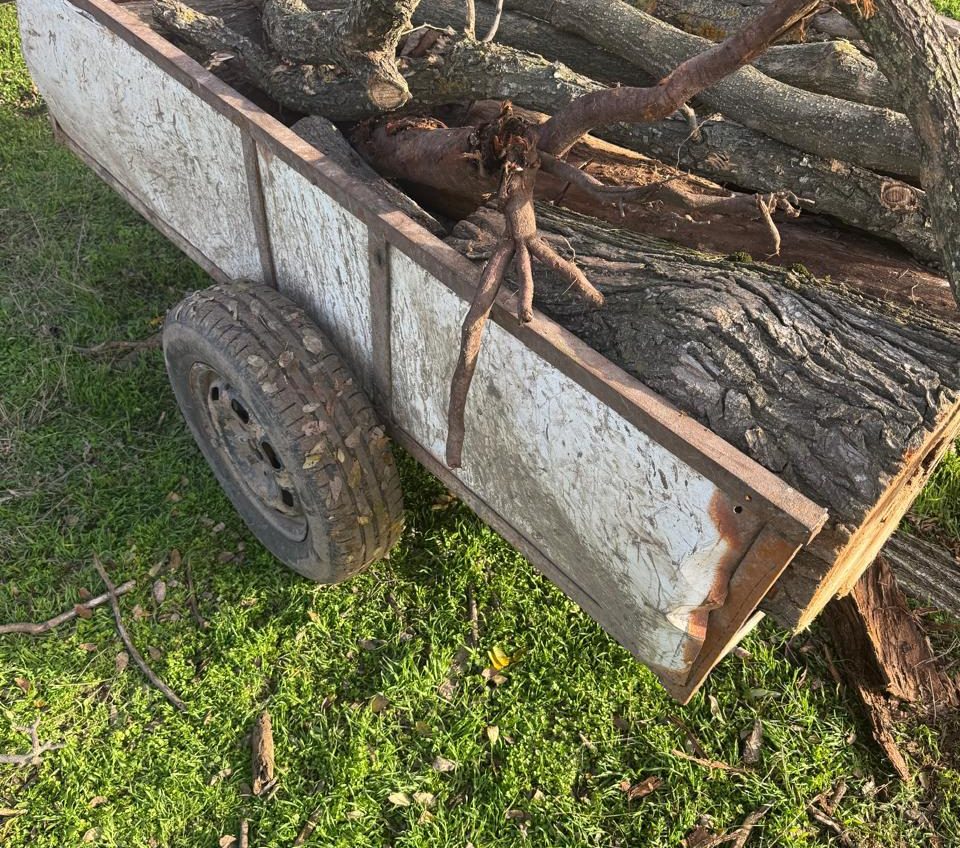 На Одещині зупинили водія, який перевозив деревину без документів «фото»
