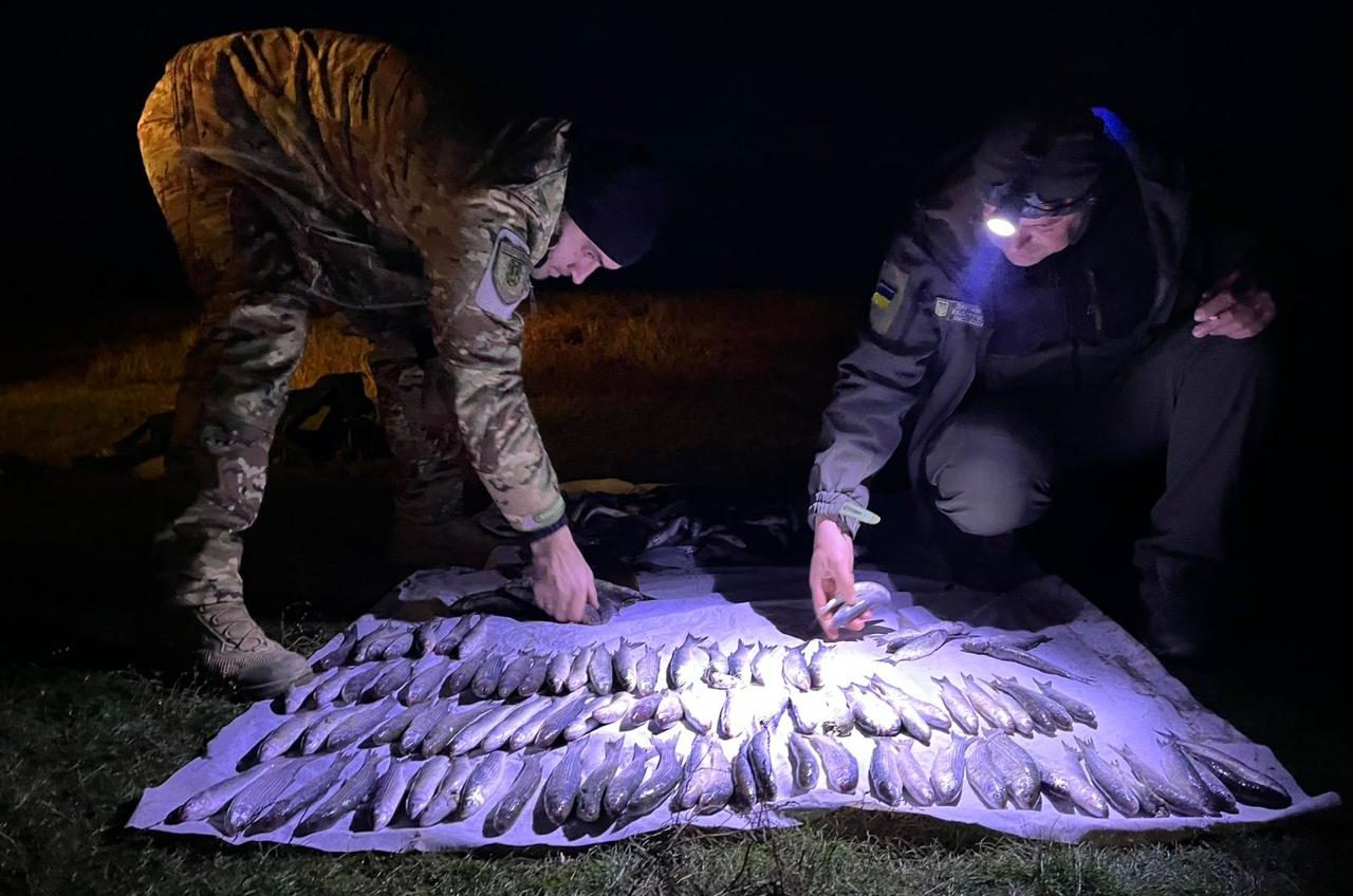 На Тузловських лиманах браконьєр наловив риби на понад 8 мільйонів гривень (фото) «фото»