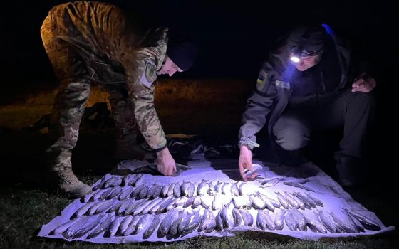 На Тузловських лиманах браконьєр наловив риби на понад 8 мільйонів гривень (фото) «фото»