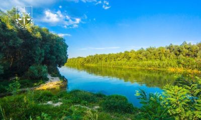 У Ренійській громаді намагалися забудувати заповідні землі вздовж Дунаю «фото»
