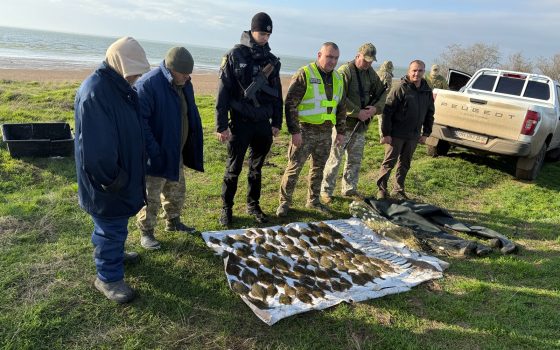 В Тузлівських лиманах спіймали браконьєра, який наловив камбали та кефалі на понад 4 мільйони (фото) «фото»