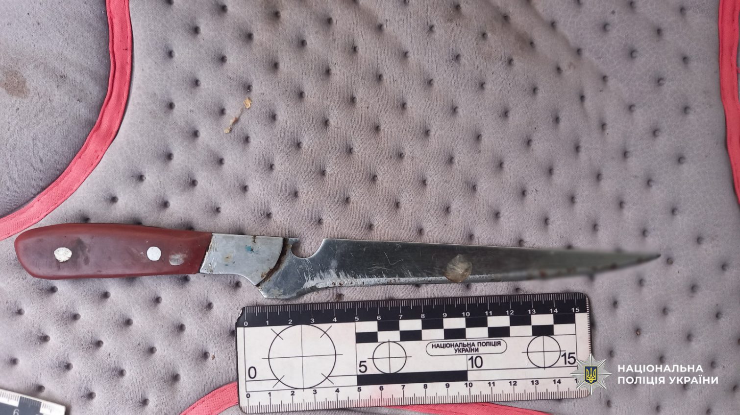 В Татарбунарах чоловік, за відмову пригостити алкоголем, вдарив ножем жінку (фото) «фото»