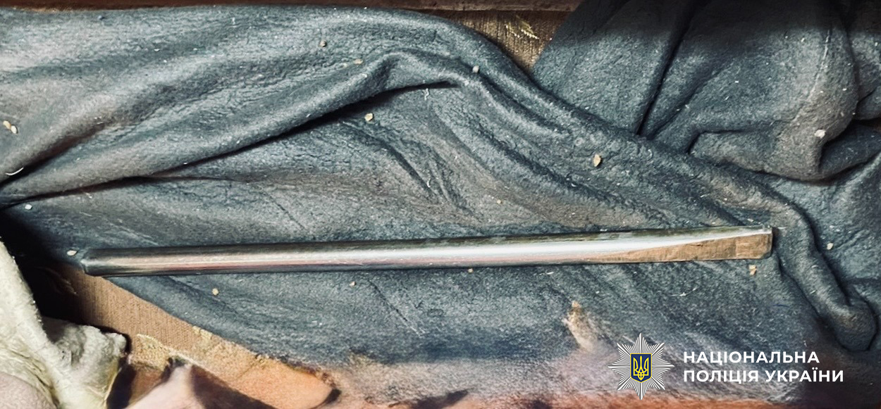 Одесит під час п’яного застілля побив свою гостю металевим ломом (фото) «фото»