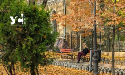 Соковитий листопад – Одеса не бачила красивішої осені (фотопрогулянка) «фото»