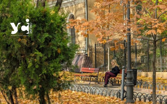 Соковитий листопад – Одеса не бачила красивішої осені (фотопрогулянка) «фото»