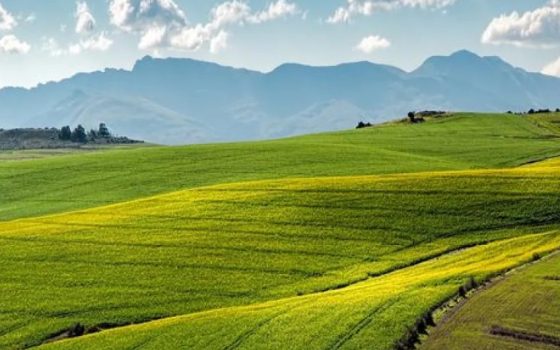 Державні сільгоспземлі: в Україні вводять новий порядок їх використання «фото»