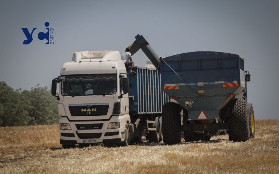 Україна залишає без обмежень експорт пшениці у сезоні 2025/26 «фото»