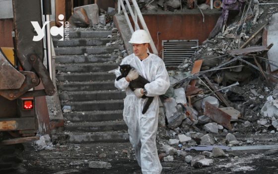 Відновлення втраченого житла та допомога 230 громадам — в Україні ухвалили ряд важливих рішень «фото»