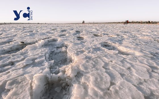 На Куяльницькому лимані Одещини будують сучасний солезавод «фото»