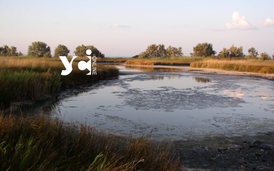 Кінбурнська коса – чому вона важлива для росіян «фото»