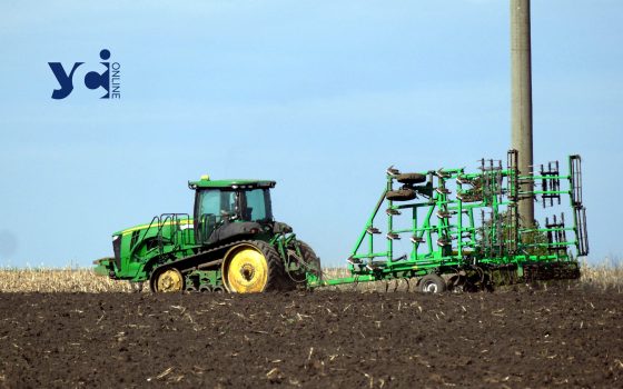 В цьому році аграрії зменшили посівні площі жита та ячменю «фото»