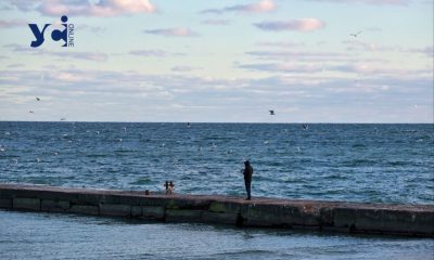 Додаток «ЕкоЗагроза»: тепер із застосунку можна повідомити про екопорушення «фото»