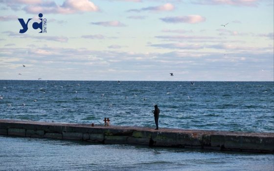 Додаток «ЕкоЗагроза»: тепер із застосунку можна повідомити про екопорушення «фото»