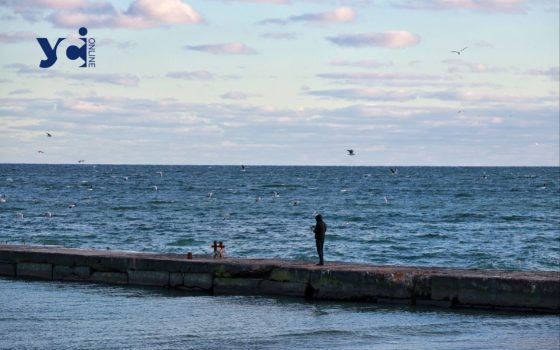 Екологічний тероризм росії: дослідники розповіли про наслідки військовий дій на Чорне море (фото) «фото»