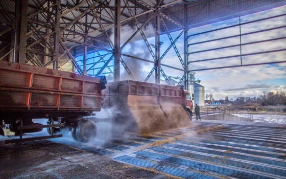 До одеських портів щодня прямує майже 9 тисяч вагонів із зерном «фото»