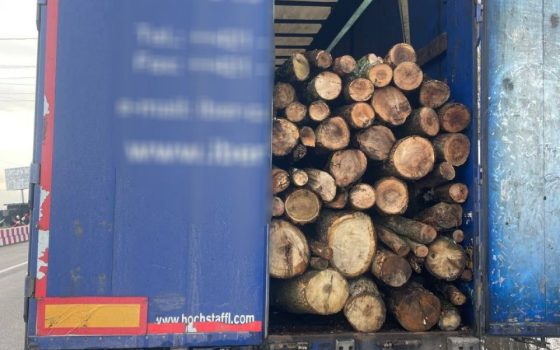 На Одещині патрульні зупинили вантажівку з деревиною без маркування «фото»