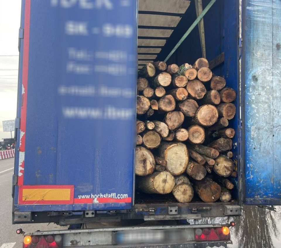 На Одещині патрульні зупинили вантажівку з деревиною без маркування «фото»