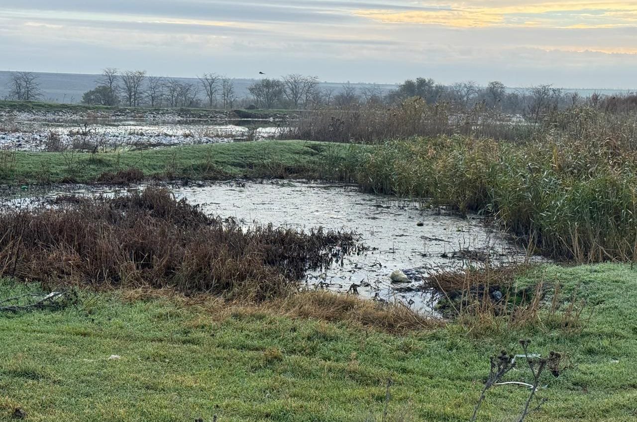 У Болграді майже 3 гектари землі засмічені каналізацією (фото) «фото»