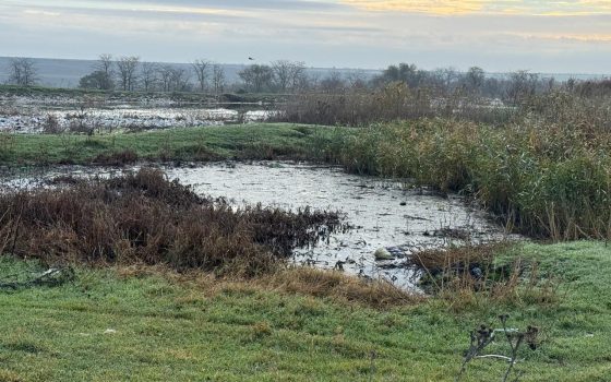 У Болграді майже 3 гектари землі засмічені каналізацією (фото) «фото»