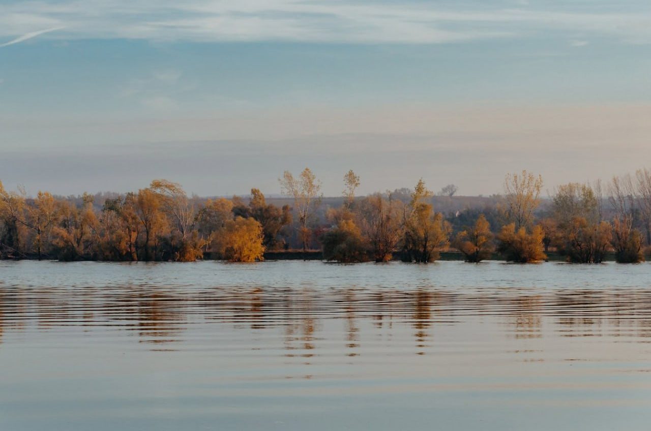 Різкого підйому води в Дунаї не буде –  ситуація на Одещині стабільна «фото»
