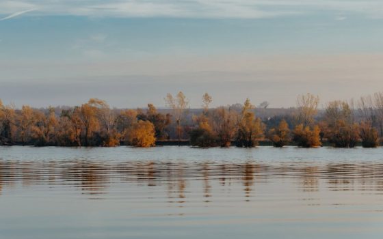 Різкого підйому води в Дунаї не буде –  ситуація на Одещині стабільна «фото»