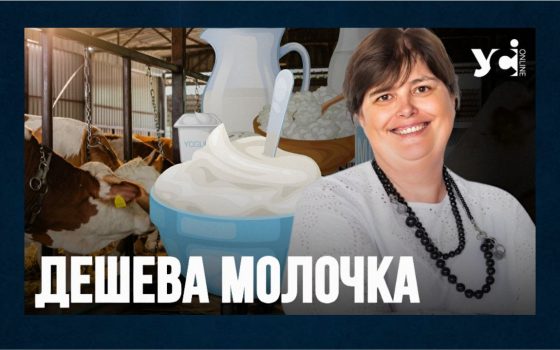 Ціни на сир, сметану, вершки та масло знизяться в Україні на 30-35% – Асоціація виробників молока  «фото»