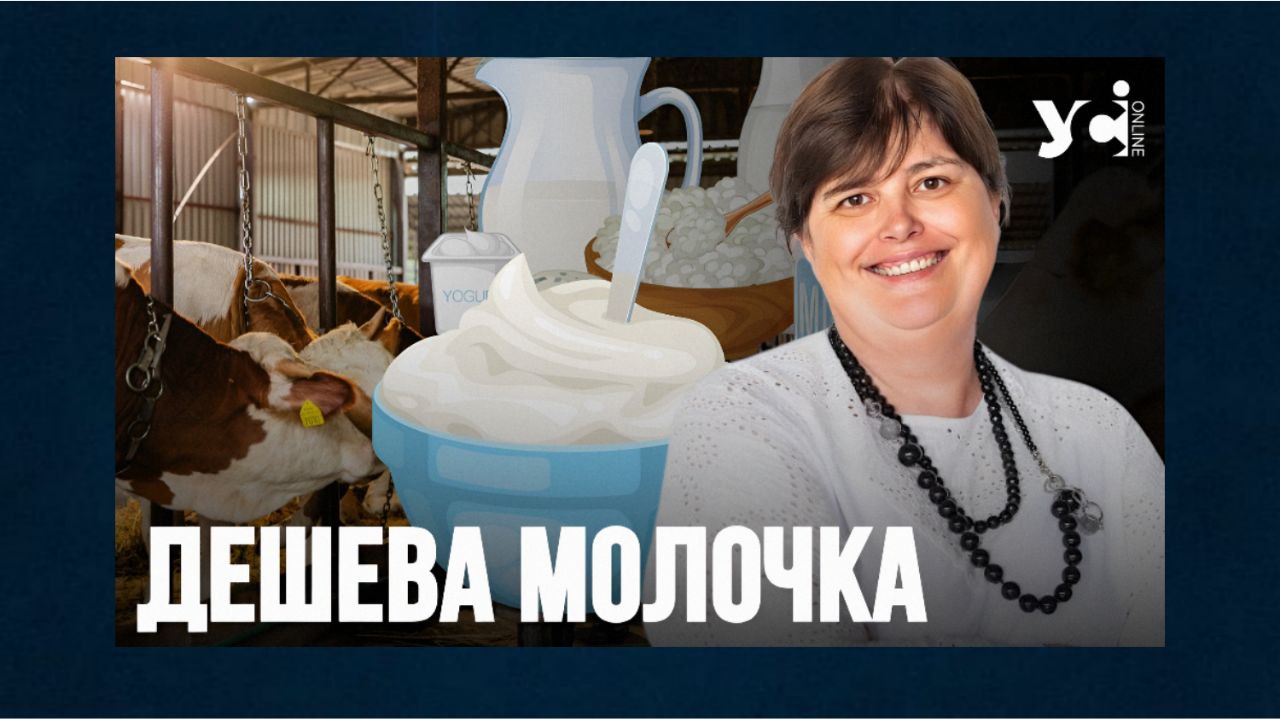Ціни на сир, сметану, вершки та масло знизяться в Україні на 30-35% – Асоціація виробників молока  «фото»