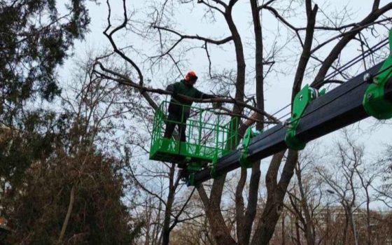 В Одесі будуть підрізати дерева та тимчасово перекриють вулицю Новосельського «фото»