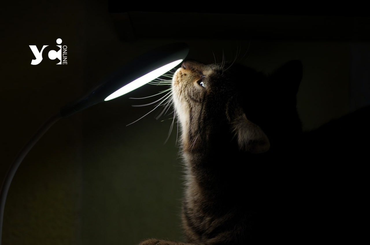 Понад 280 тисяч родин отримали компенсацію за світло: як отримати виплату «фото»