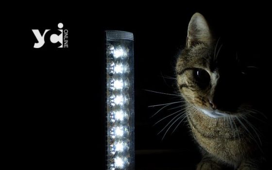 Блекаут у Рені: через нічний обстріл та аварійні роботи відключена підстанція міста «фото»