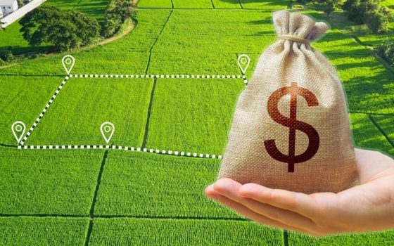 Окнянська громада на Одещині увійшла до трійки лідерів за доходами від земельних аукціонів «фото»