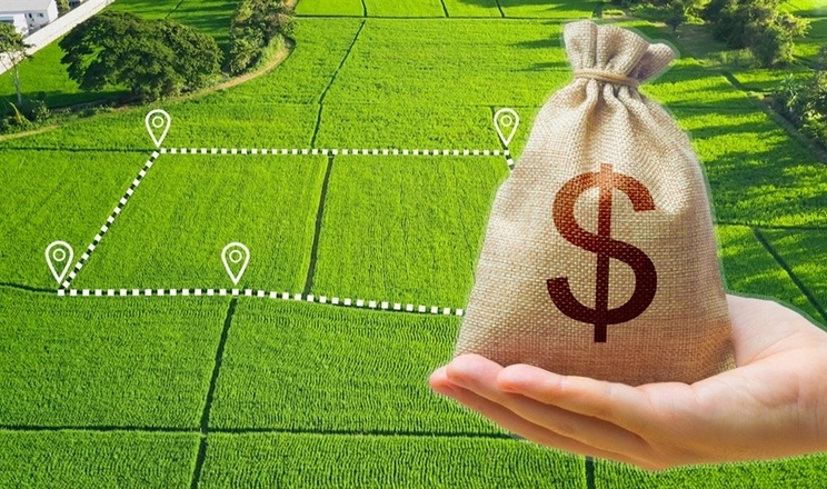 Окнянська громада на Одещині увійшла до трійки лідерів за доходами від земельних аукціонів «фото»