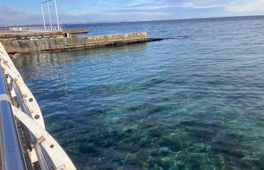 Узбережжя Одеси очищується: олію на ключових пляжах не виявили (фото) «фото»