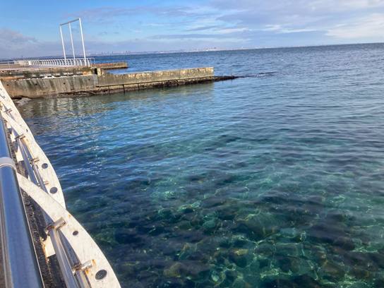 Узбережжя Одеси очищується: олію на ключових пляжах не виявили (фото) «фото»