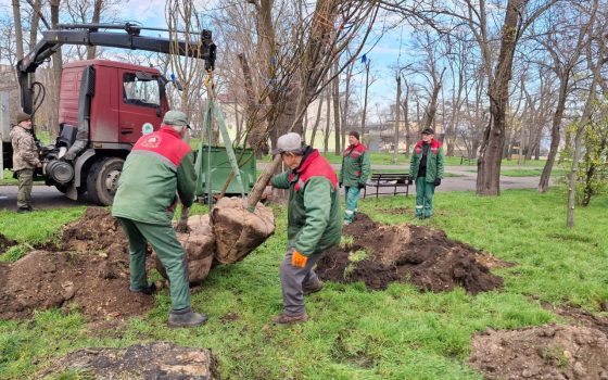 В Одесі, в парку Перемоги висадили 40 акацій (фото) «фото»