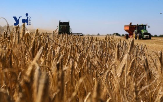 Україна може експортувати до 49 млн тонн зерна у новому сезоні «фото»