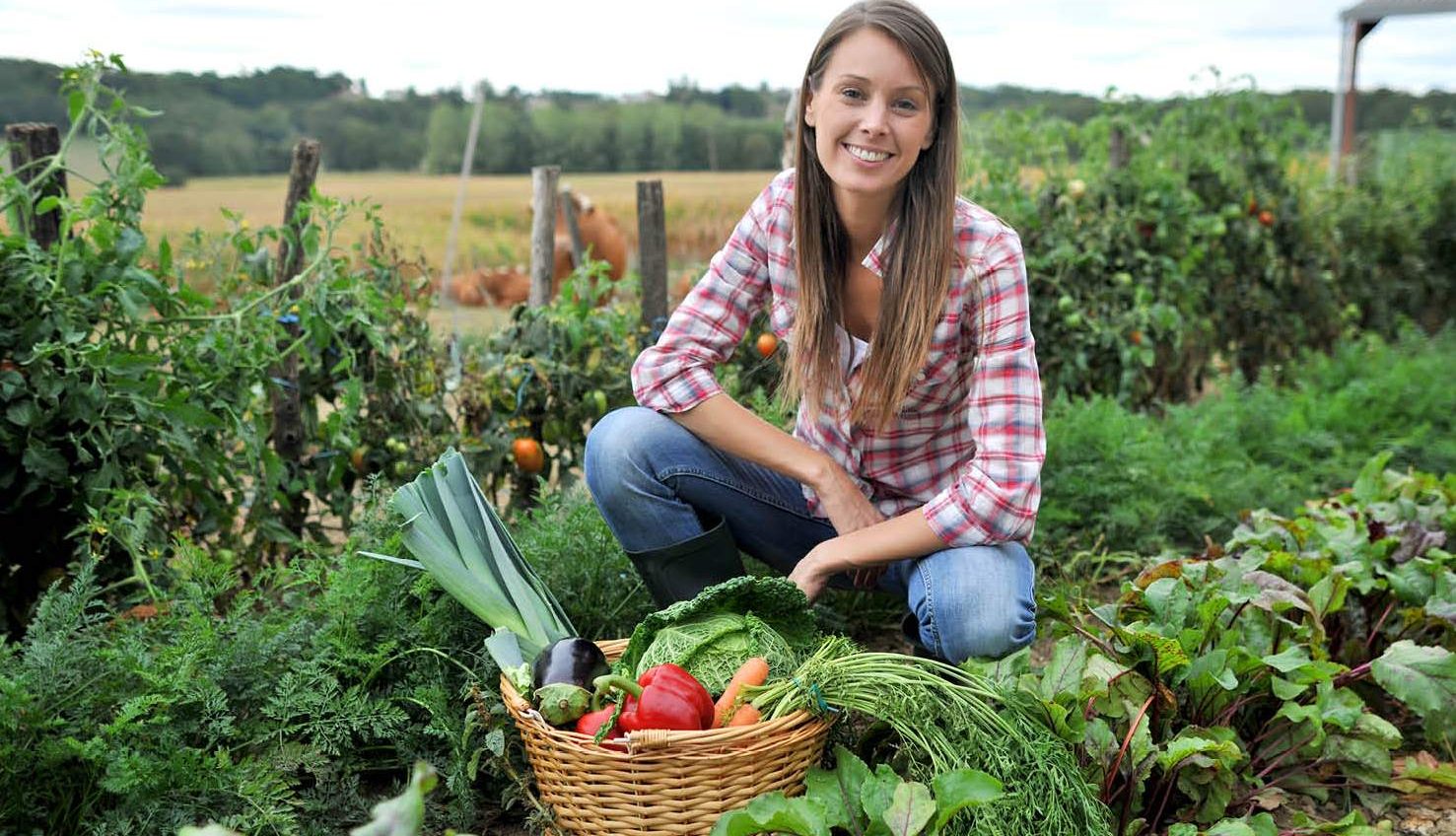 В Україні запустили програму розвитку крафтового фермерства «фото»