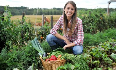 В Україні запустили програму розвитку крафтового фермерства «фото»