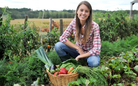 В Україні запустили програму розвитку крафтового фермерства «фото»