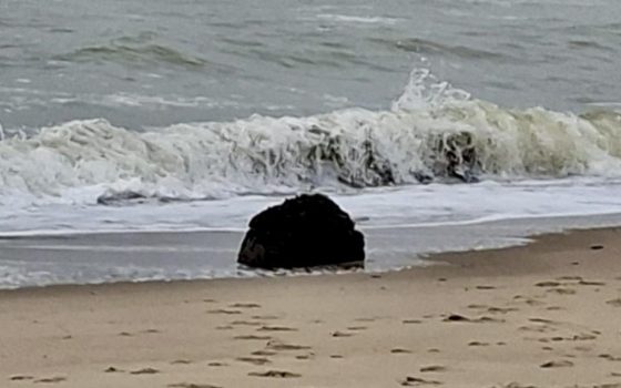 На узбережжя Одещини штормом винесло морську міну «фото»