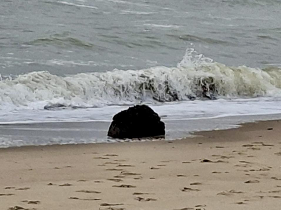 На узбережжя Одещини штормом винесло морську міну «фото»