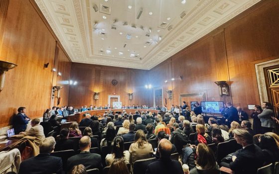 Вчора в Сенаті відбулись слухання про викрадених українських дітей «фото»