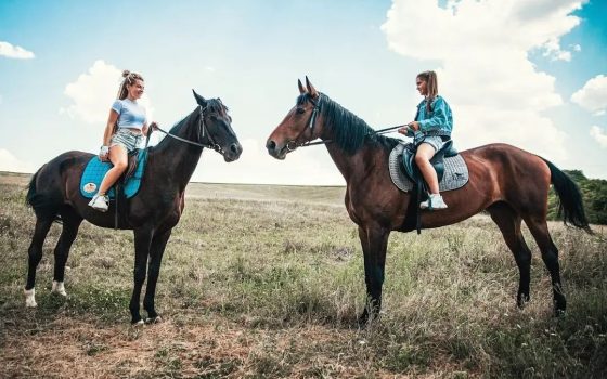 У Саратській громаді працюють над створенням нового природоохоронного обʼєкта на 1.7 тис га (фото) «фото»